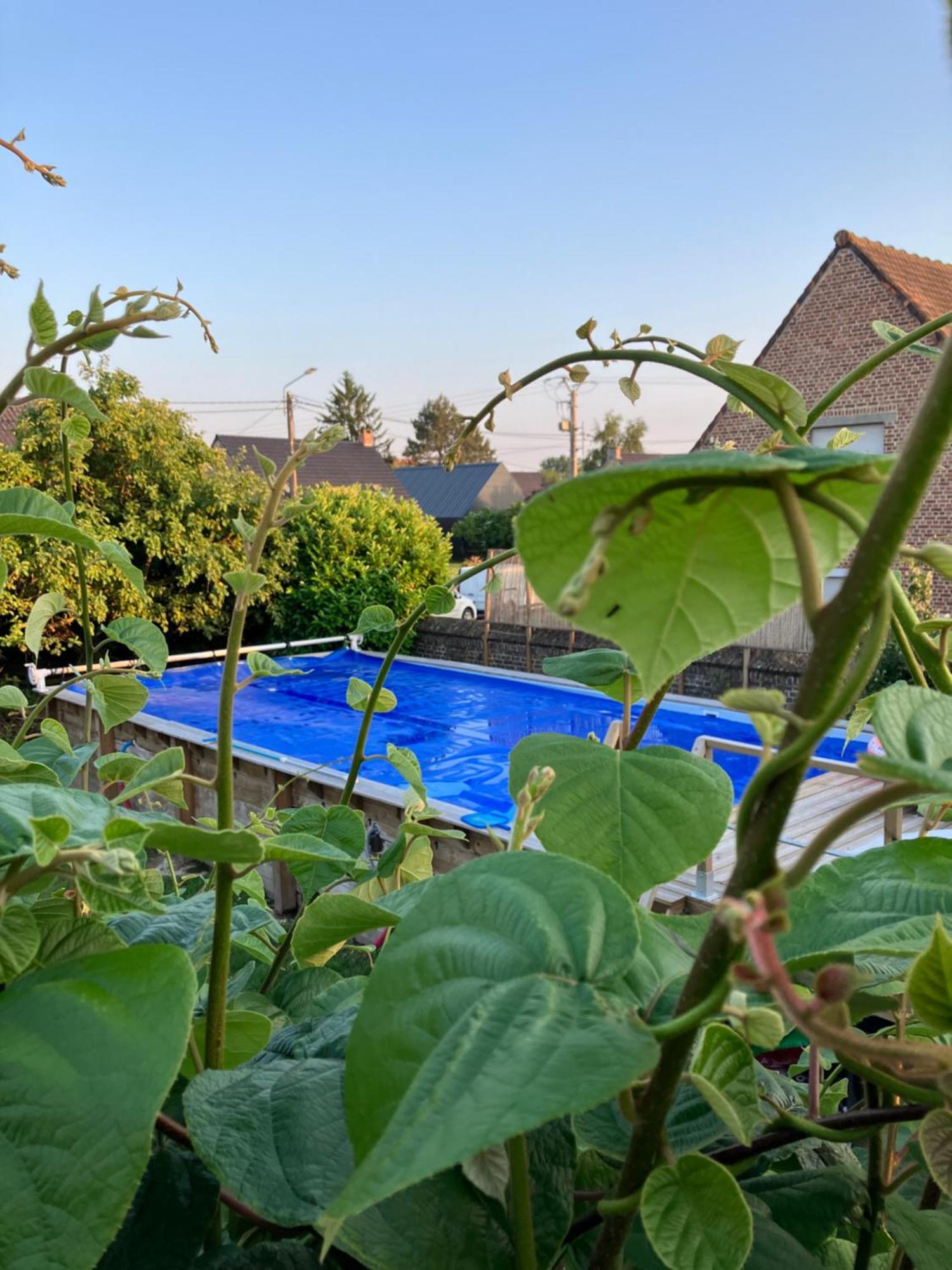 La Canopée Lecelles Exterior foto